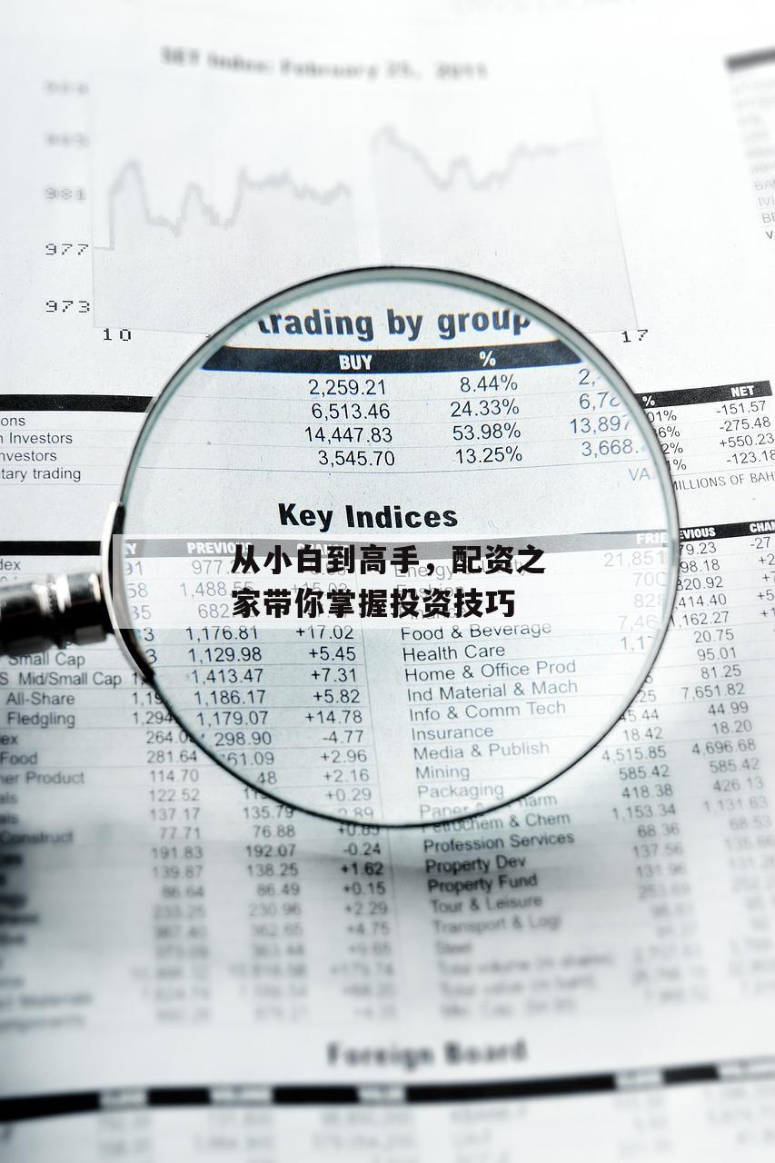 从小白到高手，配资之家带你掌握投资技巧